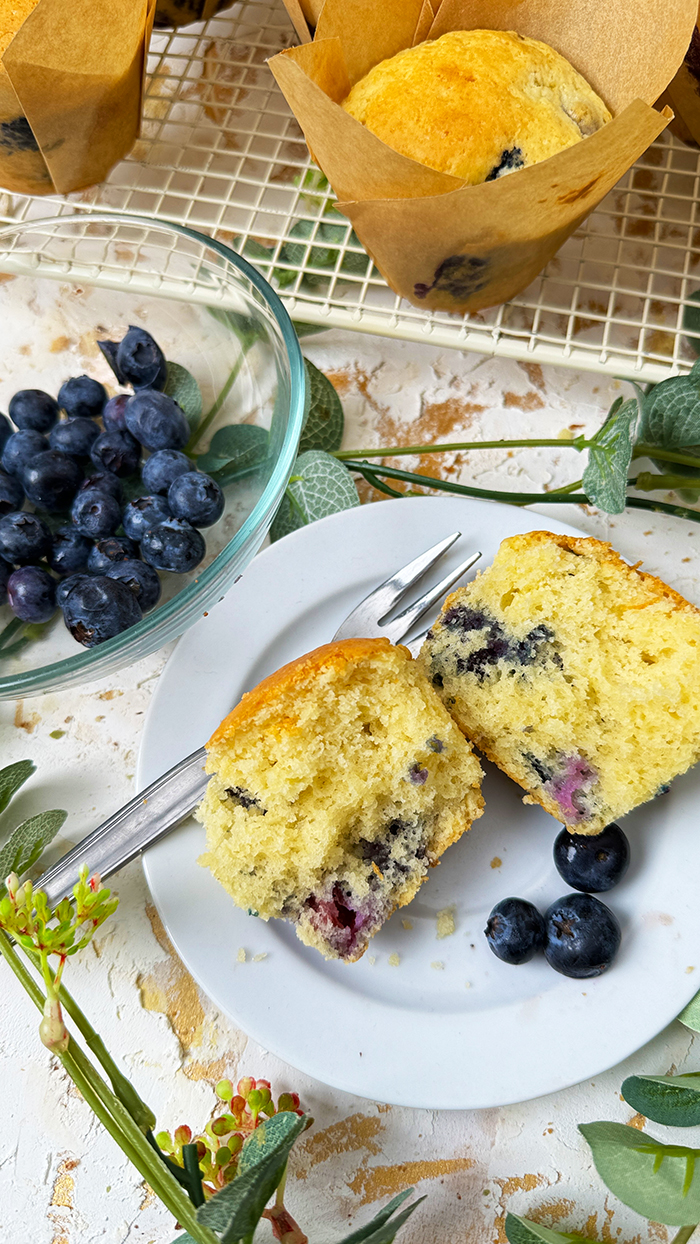 Ein Teller mit Blaubeermuffins und einer Schüssel Blaubeeren auf einem Drahtgitter.