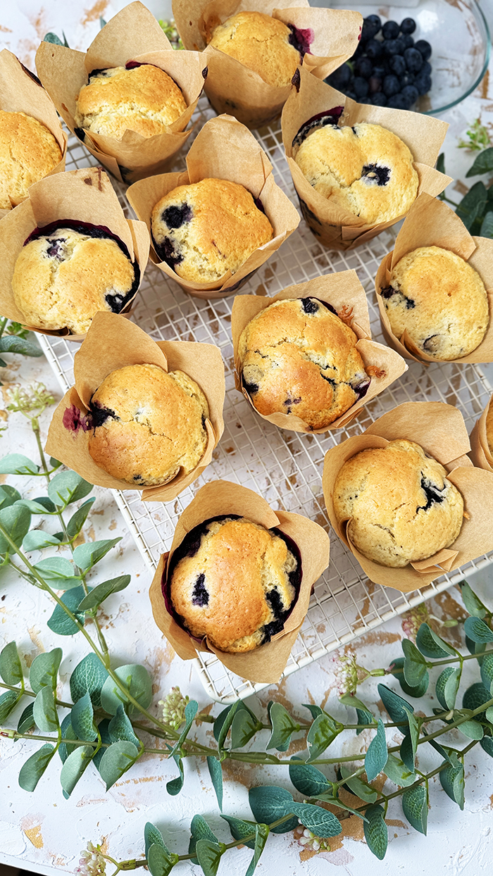  Blaubeermuffins und einer Schüssel Blaubeeren auf einem Drahtgitter