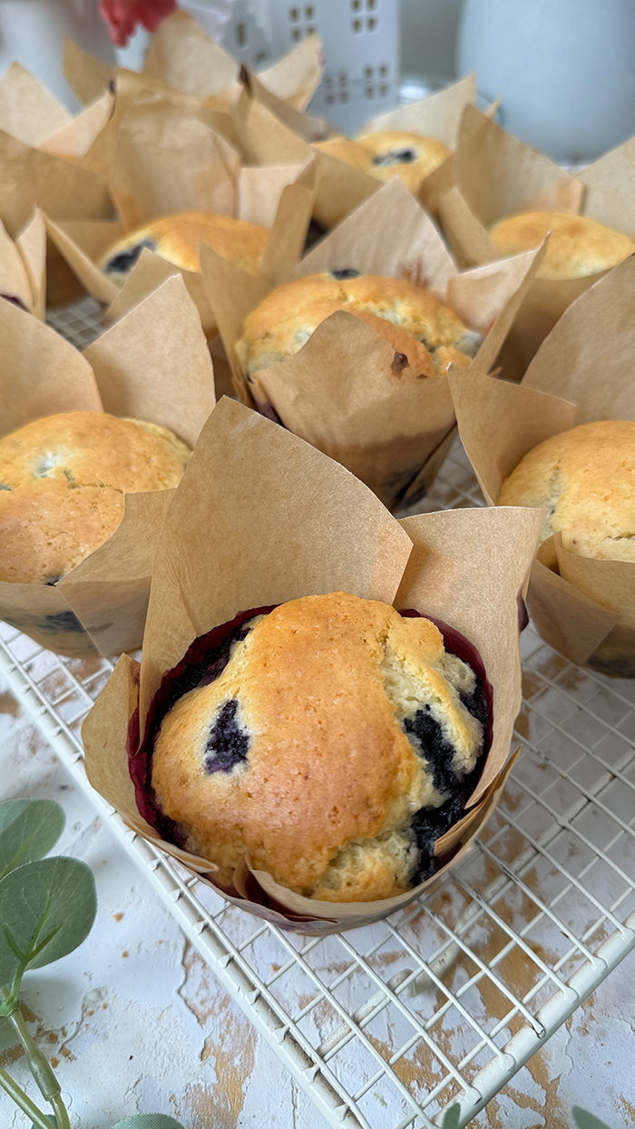 Ein Teller mit Blaubeermuffins und einer Schüssel Blaubeeren auf einem Drahtgitter